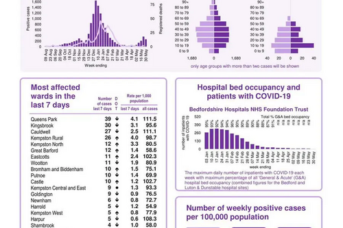 Bedford Borough coronavirus snapshot published 3 June 2021