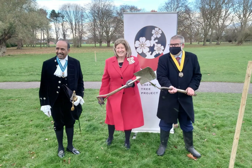 Celebrating National Tree Week in Bedford Borough