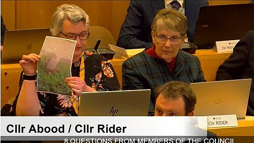 Cllr Sue Abood with photo at Full Council