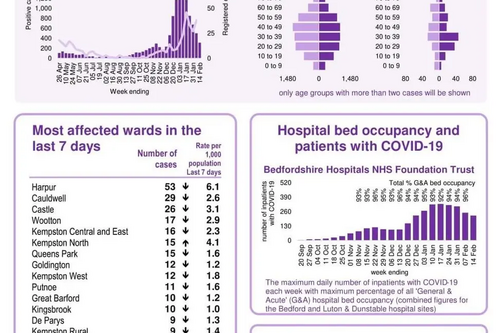 Bedford Borough Coronavirus snapshot published 18 February 2021