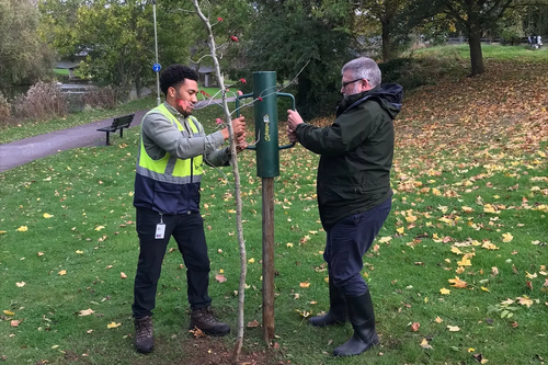 Mayor Dave Hodgson planting a tree