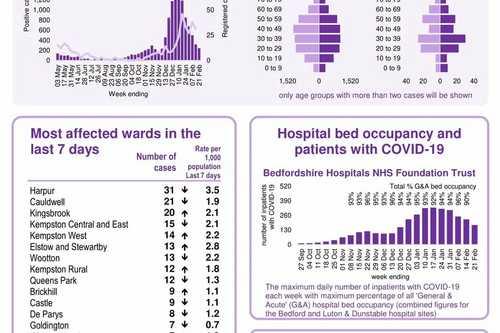 Bedford Borough Covid-19 snapshot published 25 February 2021