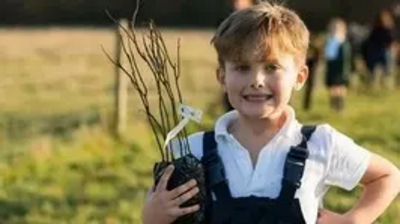 Woodland Trust Free Trees