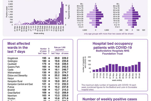 Coronavirus Snapshot 20220112