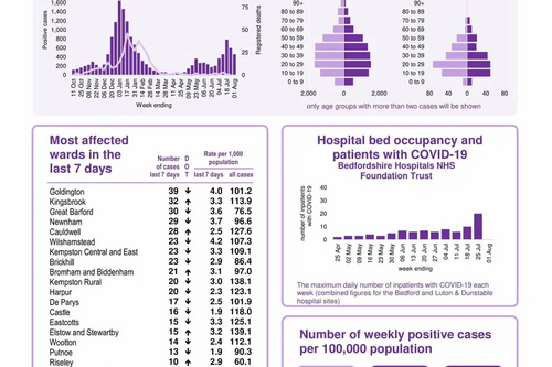 Coronavirus Snapshot week ending 1 August 2021