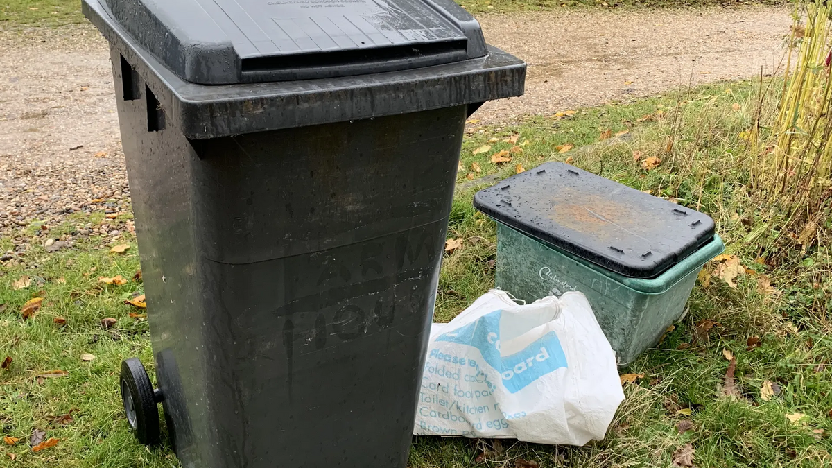 Free family fun at Chelmsford's Recycling Open Day 18 February