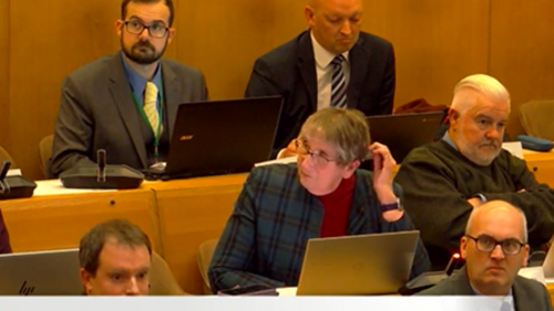 Wendy Rider Full Council 