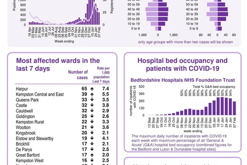 Bedford Borough coronavirus snapshot published 11 February 2021